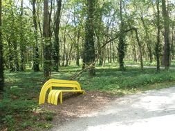 yellow bench at road near forest