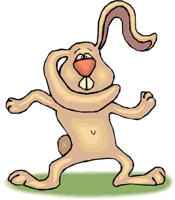 Rabbit Clip Art N55