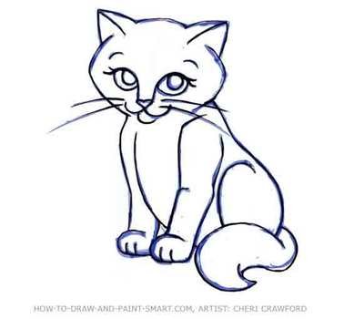 Cat Drawings