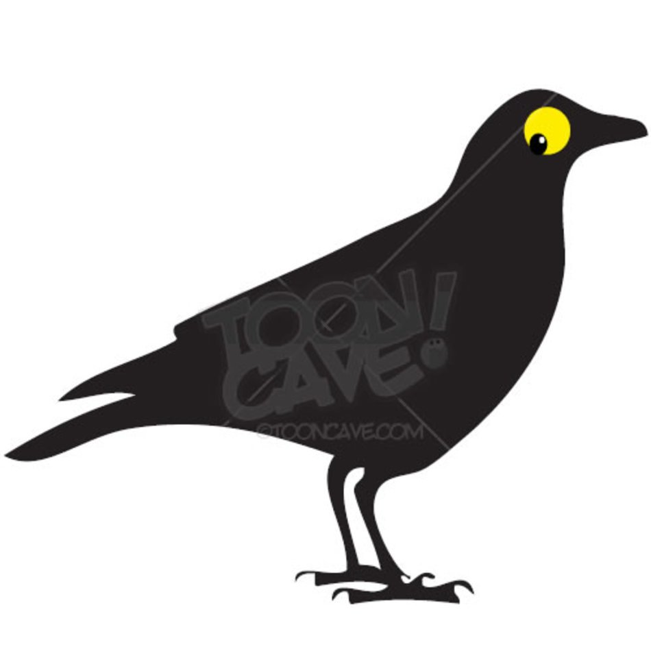 Black Crow Cartoon N5