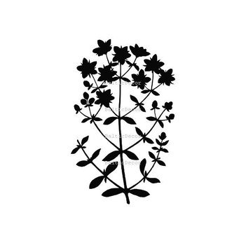 Rhubarb Plant Clip Art