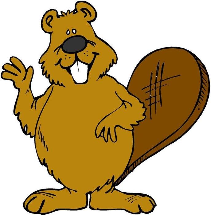 Beaver Clip Art N22