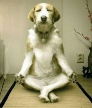 Posted On December 23 2012 By Grappig Plaatje