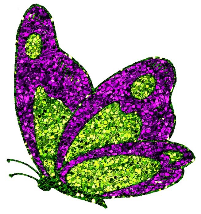 Glitter Butterfly N3