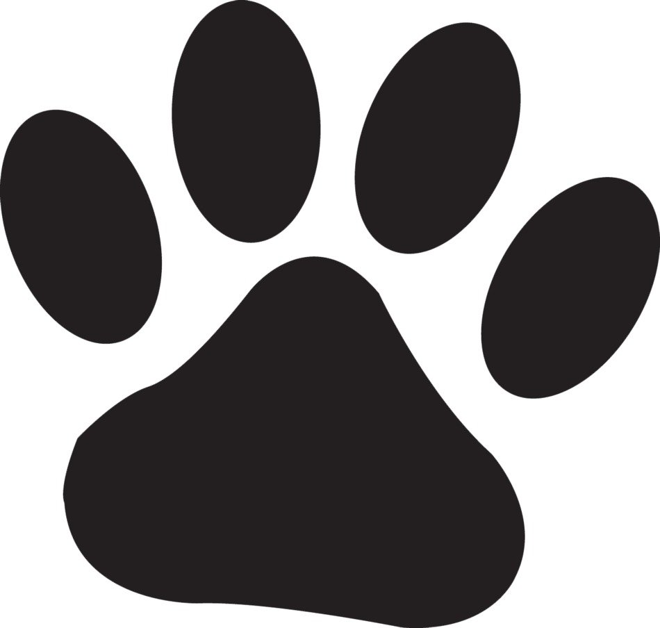 Paw Print as a graphic illustration