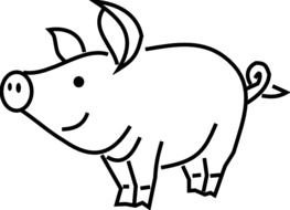 Pig Clip Art N96