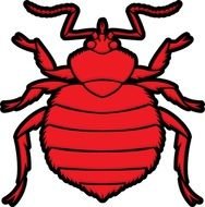 Bed Bugs Cartoon