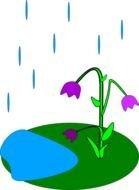 rain over flowers as a graphic illustration