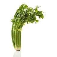 Celery Stalk