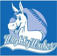 Softball Team T Shirt Designs