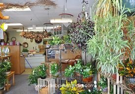 Flower Shop Interior drawing