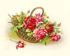 Vintage bascet Flower drawing