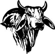 Brahman Bull Head Logo drawing