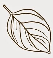 Leaf Cut Out Clip Art Free drawing