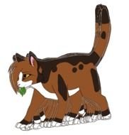 Warrior Cats Spottedleaf