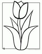 Tulip Spring Flower Coloring Pages