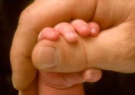 hand of a newborn baby in parent's hand