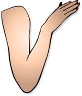 Cartoon Right Arm clipart