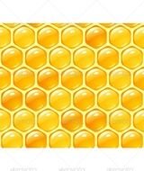 Honey Bee Vector N2