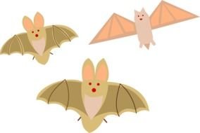 drawn three bats