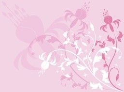 Pink Flowers drawing