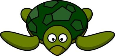 Cartoon green turtle clipart