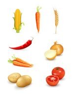 Vegetable Vector N2