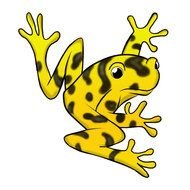 Frog Life Cycle Clip Art Free