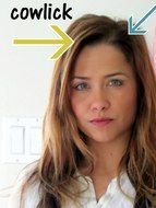 Cowlick as a picture for clipart