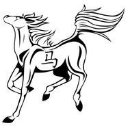Chinese Zodiac Horse N3