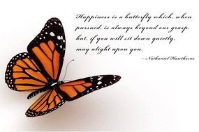 Quotes About Butterflies drawing