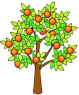 Apple Tree Drawing N3