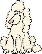 Cartoon Poodle N7
