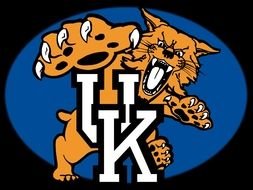 Kentucky Wildcats, Logo of team