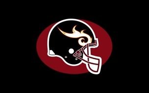 NFL Helmet like logo