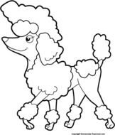White Poodle Clip Art Free