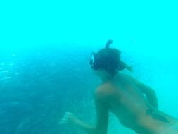 woman in the underwater world as a picture for clipart