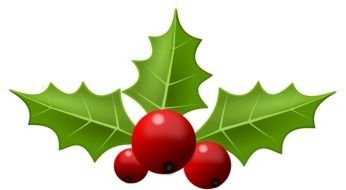 Red Holly Berries With The Green Leaves Clipart