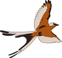 Flying Bird Clip Art N37