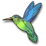 Cartoon Hummingbird Clip Art N6