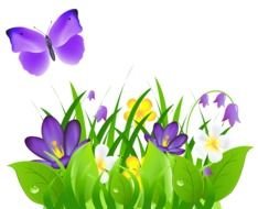 Butterflies And Flowers as a graphic illustration