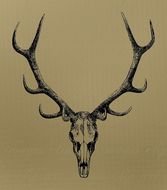 Elk Antler Clip Art Free N2
