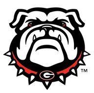 Georgia Bulldogs Football Logo N5