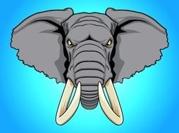 Elephant head on the blue background