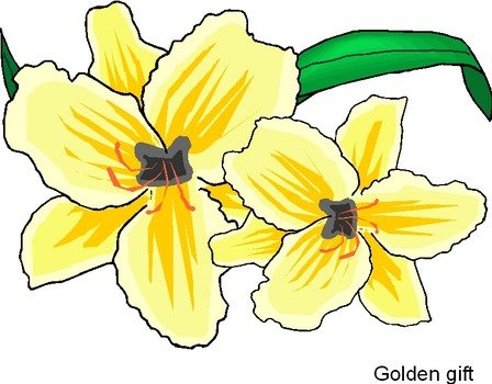 Microsoft Free Clip Art Flowers N15