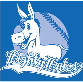 Softball Team T Shirt Designs