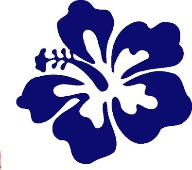 Cartoon Hawaiian Flower Clip Art N5
