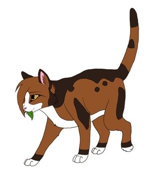 Warrior Cats Spottedleaf
