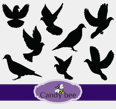 Peace Dove Clip Art N17
