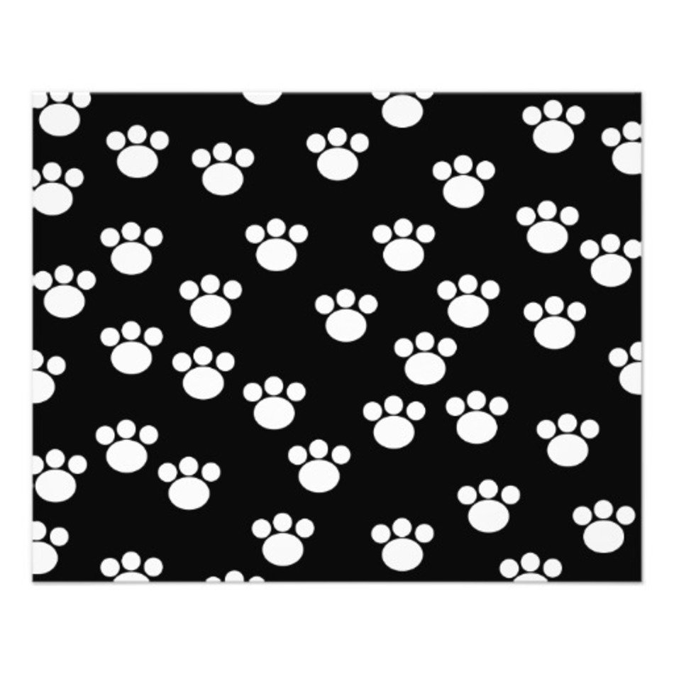 Black And White Paw Print N2